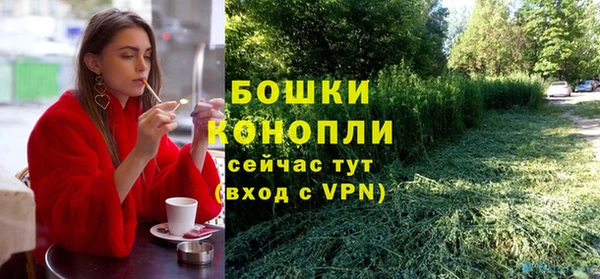 бутират Белокуриха