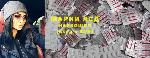 прущие грибы Беломорск
