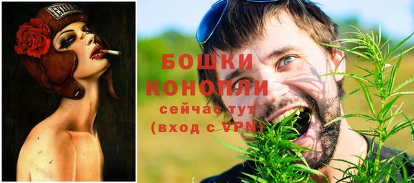 2c-b Богданович