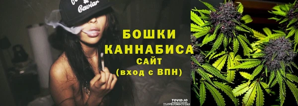 прущие грибы Беломорск