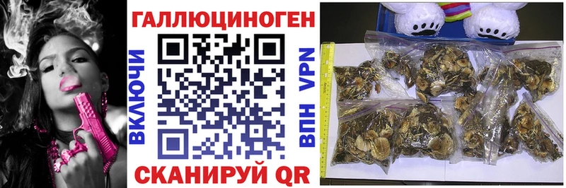 Псилоцибиновые грибы GOLDEN TEACHER  купить закладку  mega ТОР  Беслан 
