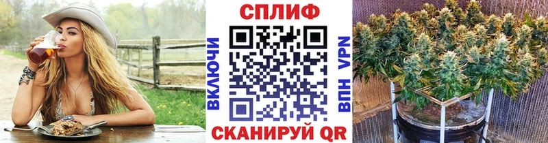 Бошки Шишки планчик  Беслан 